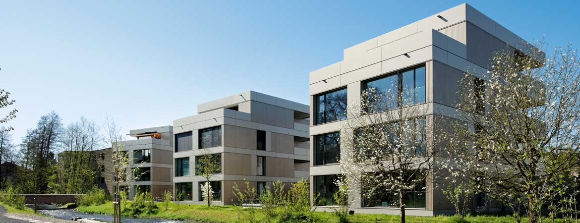 Renggli AG, Mario Wapf