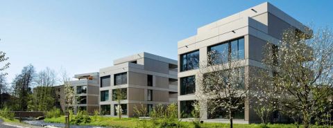 Renggli AG, Mario Wapf